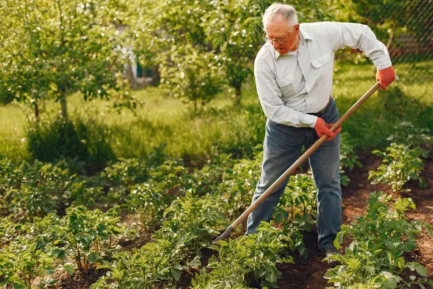 Cutting back your jobs as aging takes its toll