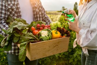 Notice how the organic garden grow slush with a good lot of natural rainfall