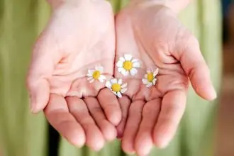 Are you a visionary with a purpose in life - palm will tell