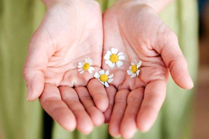 Are you a visionary with a purpose in life - palm will tell