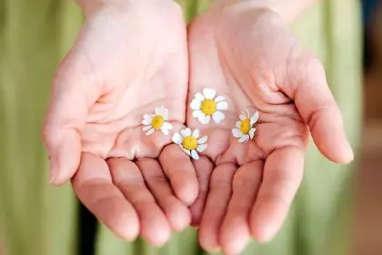 Are you a visionary with a purpose in life - palm will tell