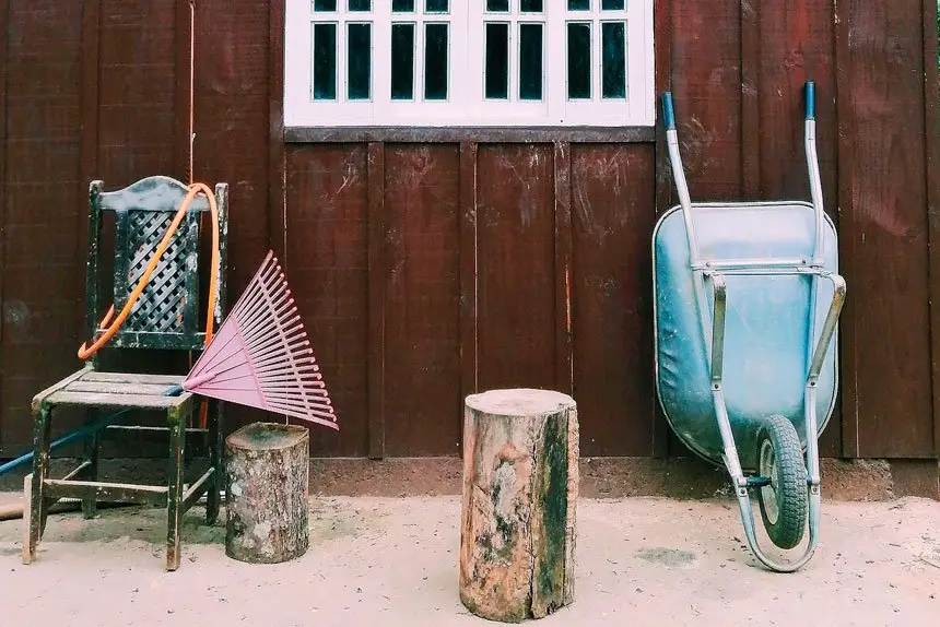 Gardening Tips: Clean Tools, New Year's Resolution Ideas