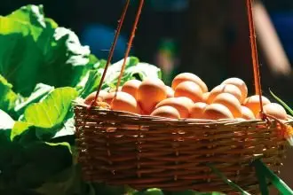 CRACKING DEBATE: Are eggs good or bad for you?