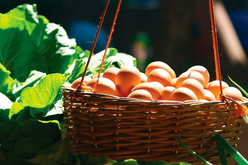 CRACKING DEBATE: Are eggs good or bad for you?