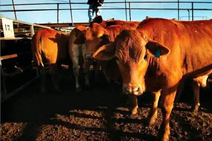 FARMING FUTURE: The evokeAG. conference showcased bold ideas.