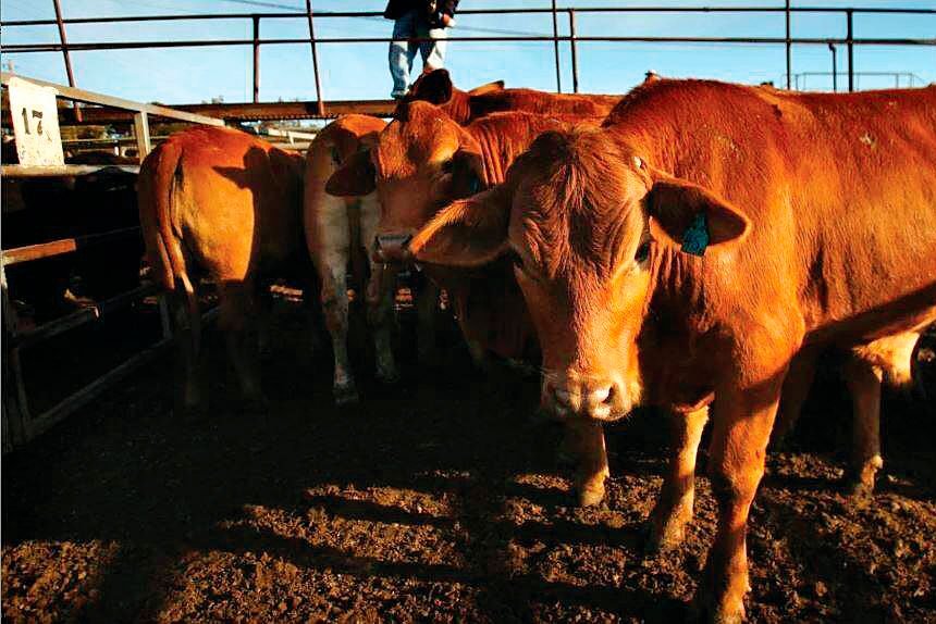 FARMING FUTURE: The evokeAG. conference showcased bold ideas.