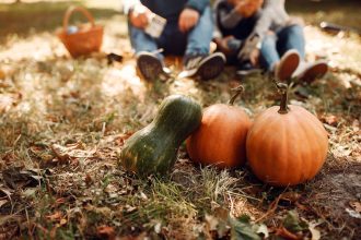 Pumpkin romance and the art of hand pollination