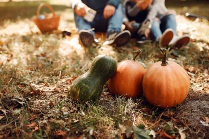 Pumpkin romance and the art of hand pollination