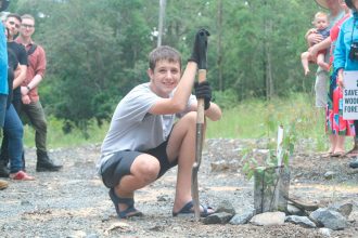 Camira teen Rowan Spencer with a koala food tree recently planted by locals tired of waiting for the promised sewer line upgrade revegetation.