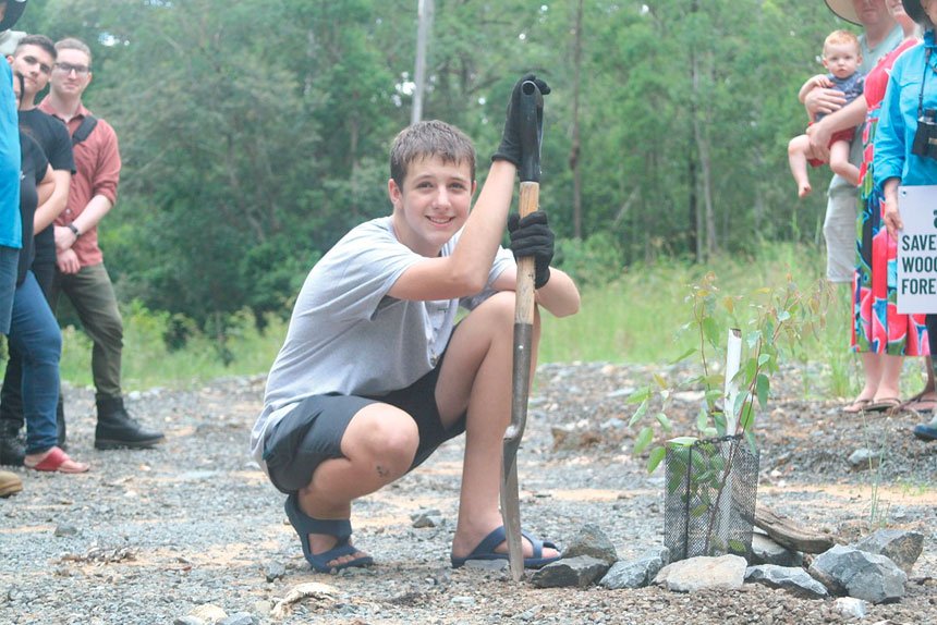 Camira teen Rowan Spencer with a koala food tree recently planted by locals tired of waiting for the promised sewer line upgrade revegetation.