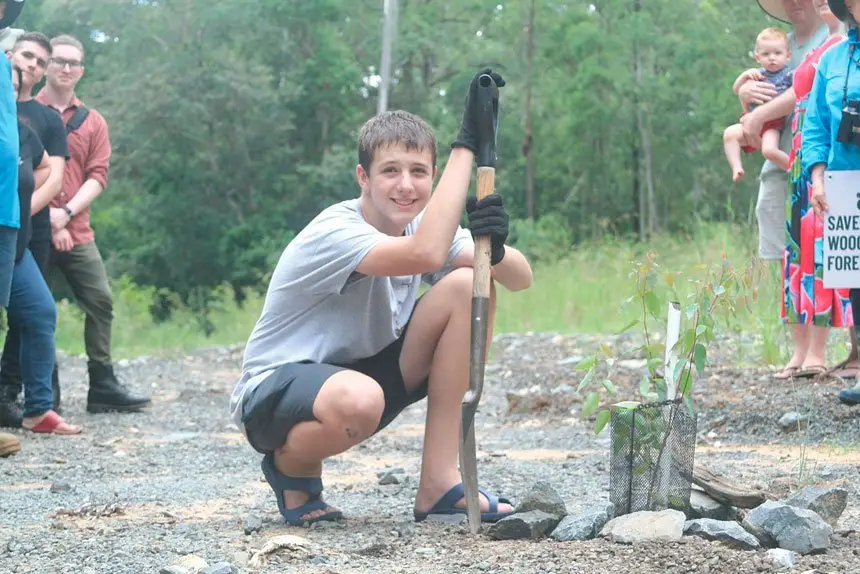 Camira teen Rowan Spencer with a koala food tree recently planted by locals tired of waiting for the promised sewer line upgrade revegetation.