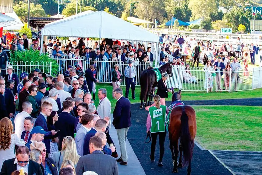 CLEAR WINNER: The Ipswich Cup continues to attract thousands of visitors to our city every year and delivers a boost of well over $1 million to the Ipswich economy.