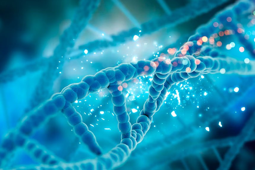 Call to Improve Genetic Care for Disabled Adults