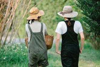 Enjoy a peaceful bush walk in the Ravensbourne National Park.