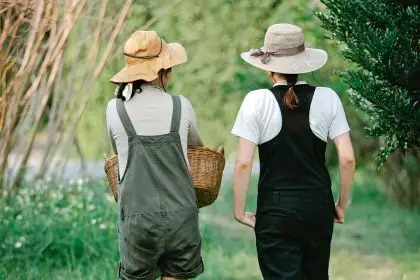 Enjoy a peaceful bush walk in the Ravensbourne National Park.