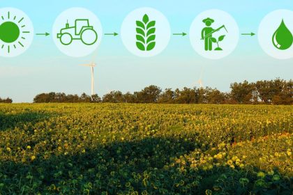 Thriving in the desert: How remote communities cope