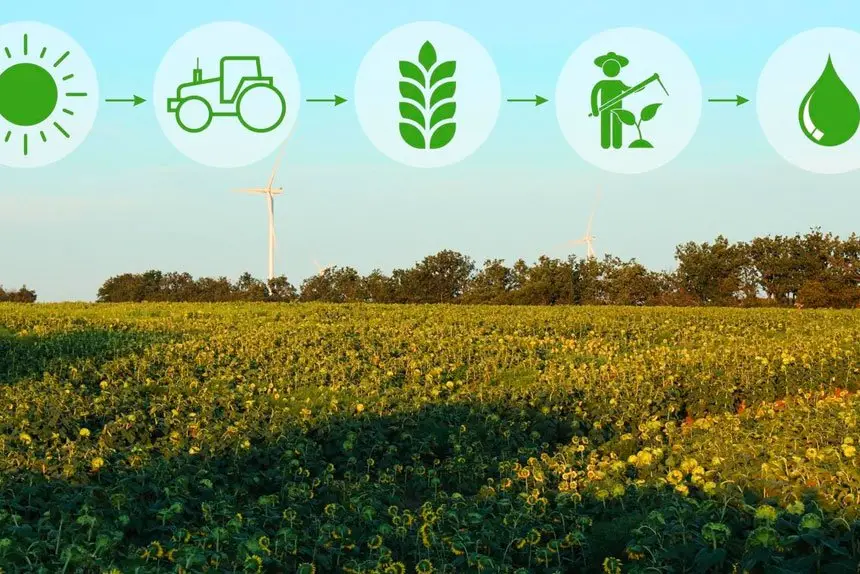 Thriving in the desert: How remote communities cope