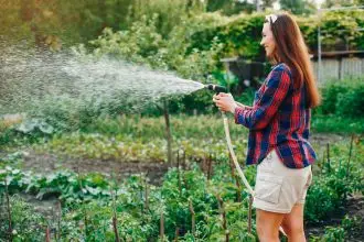 The art of watering is often underrated