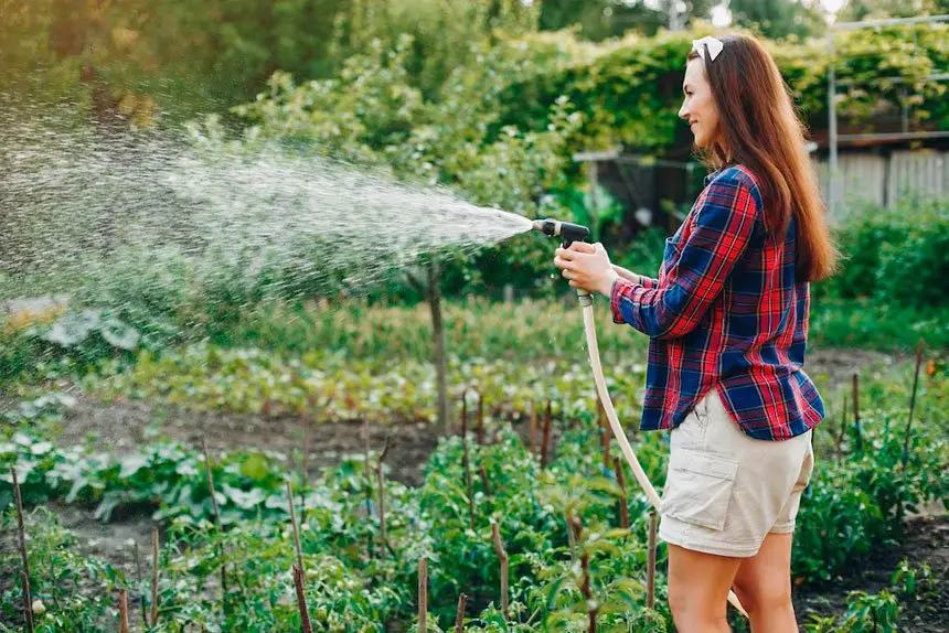 The art of watering is often underrated