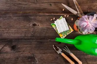 Shedding inhibitions, and weeds, on World Naked Gardening Day!