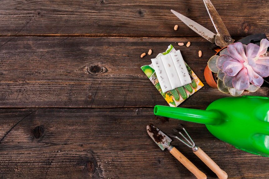 Shedding inhibitions, and weeds, on World Naked Gardening Day!