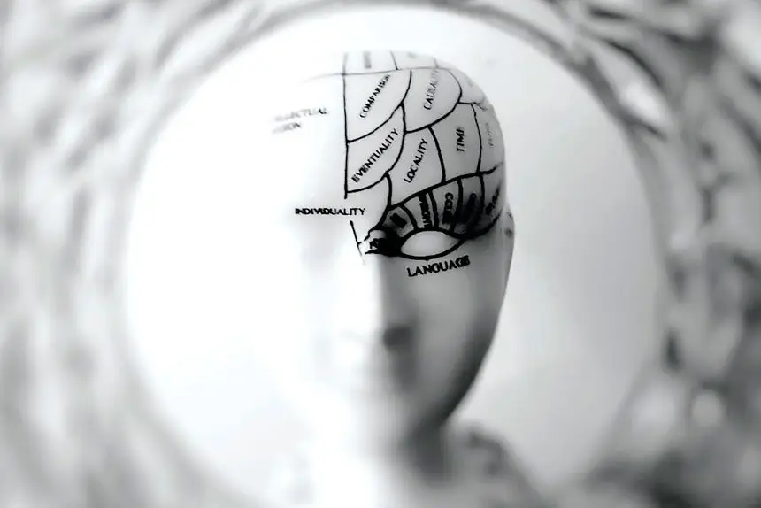 In 2023, a large global study co-led by QBI and Harvard Medical School found that half of us will likely develop at least one mental health disorder by age 75.