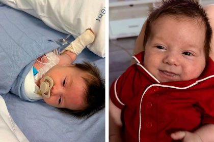 BRAVE BOY: Georgie is up for the fight.