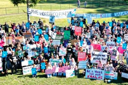 The Save Woogaroo Forest Group is growing in numbers.