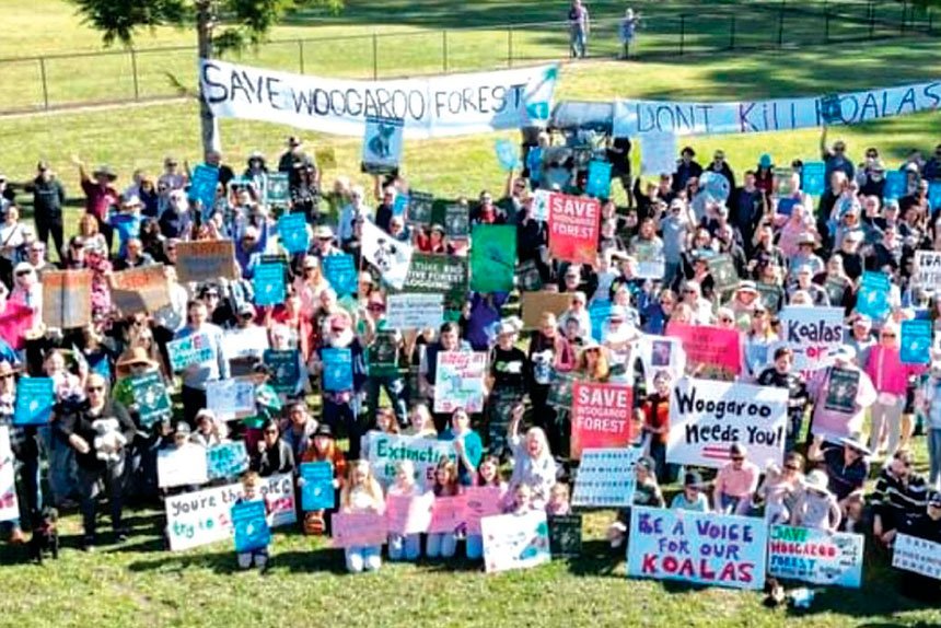 The Save Woogaroo Forest Group is growing in numbers.
