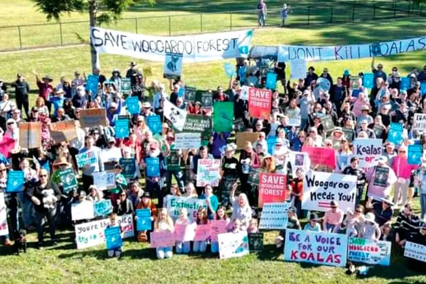 The Save Woogaroo Forest Group is growing in numbers.