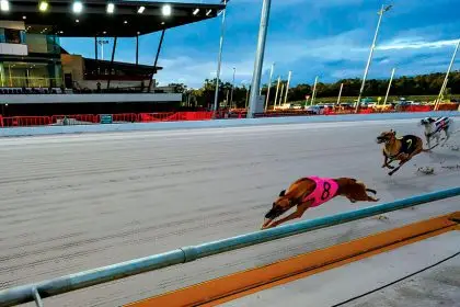 RACING “PAWS”: The Q2 Parklands track has been deemed unsafe.