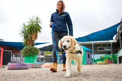 LEADING THE WAY: Seeing Eye Dogs open up new world.