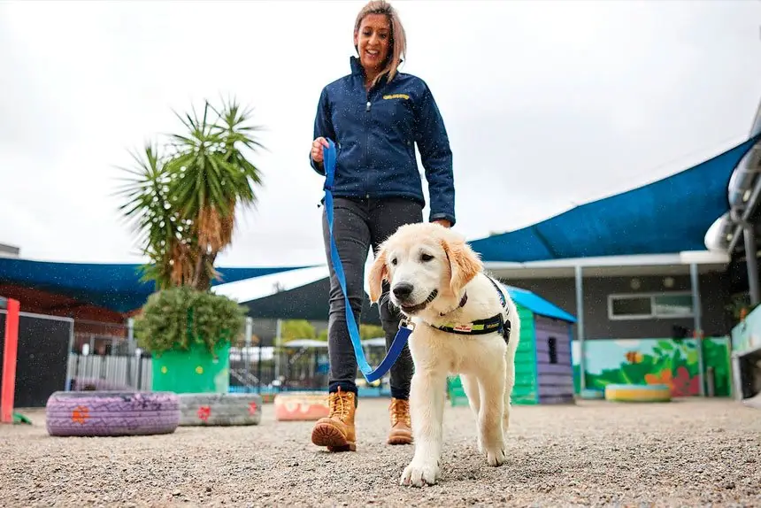 LEADING THE WAY: Seeing Eye Dogs open up new world.