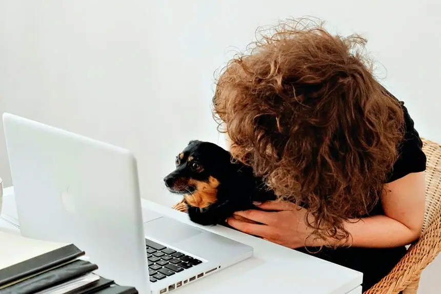 From telehealth vet advice to self-driving tractors, AI is changing pet care, work, and everyday tasks across Australia.