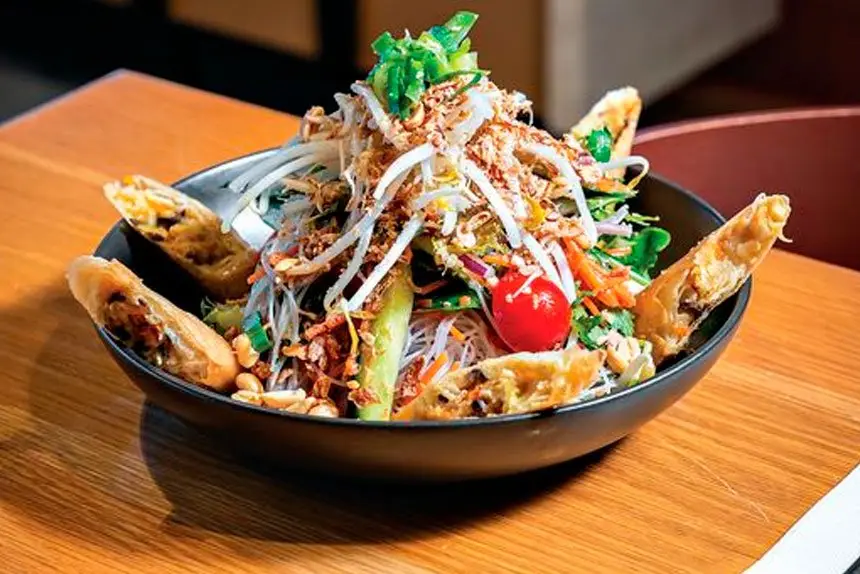 Asian Noodle Salad Bowl with spring rolls