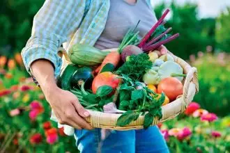 SUMMER HAUL: Many varieties love constant sunshine.