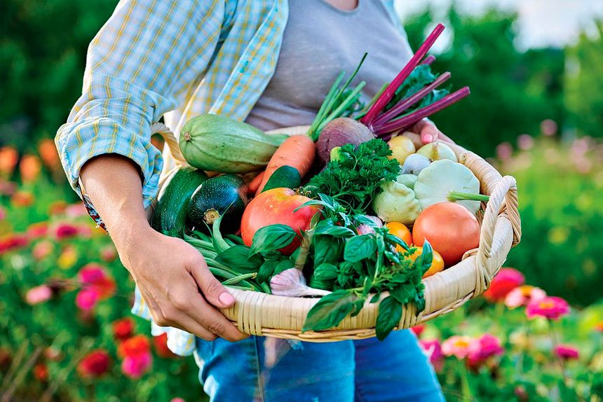 SUMMER HAUL: Many varieties love constant sunshine.