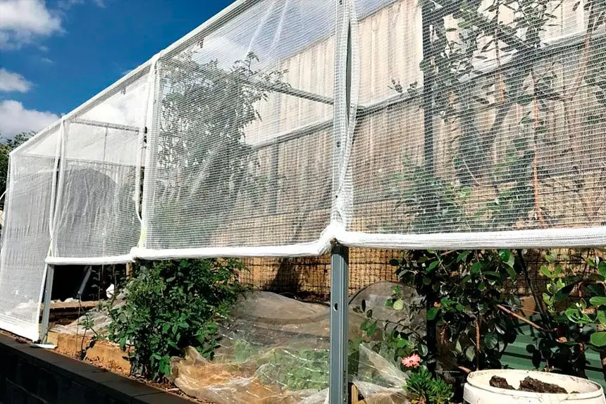 You can do things to protect your plants from wild weather.