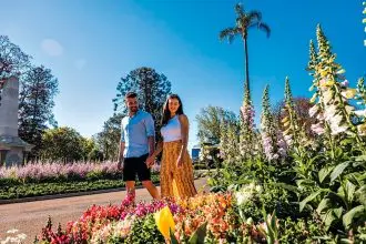 We still have green havens to wander through.