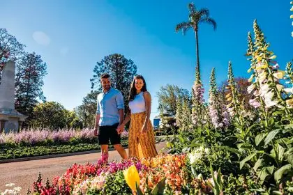 We still have green havens to wander through.