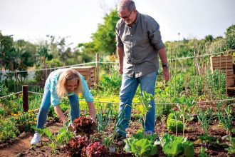 Finding Peace and Connection Through Gardening