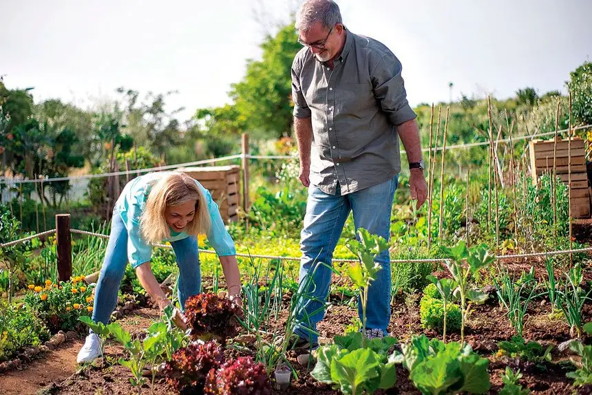 Finding Peace and Connection Through Gardening