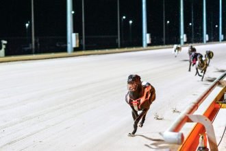FAST TRACK: This is shaping up as a carnival to remember at The Q.