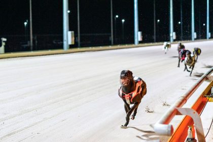 FAST TRACK: This is shaping up as a carnival to remember at The Q.