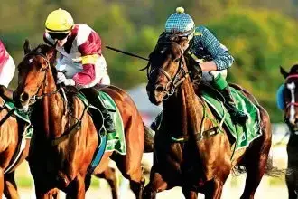 The Gollan stable had an outstanding day.