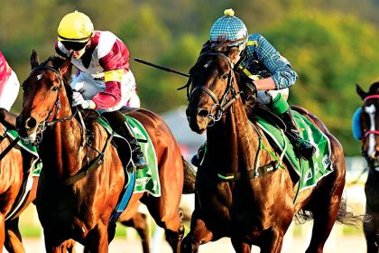 The Gollan stable had an outstanding day.