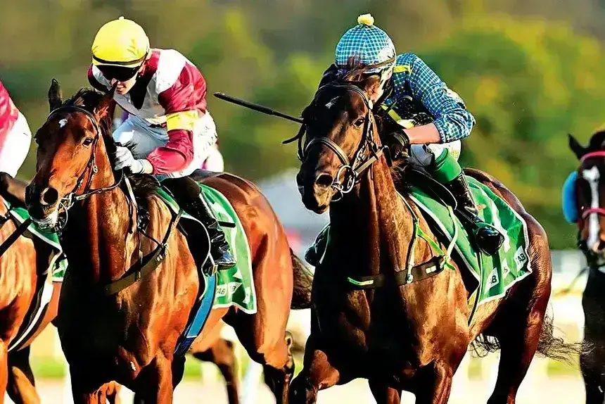 The Gollan stable had an outstanding day.