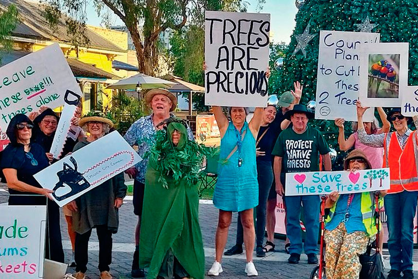DIGGING IN: Members of the Ipswich Climate Action Group protest the planned removal of trees in d’Arcy Doyle Place.