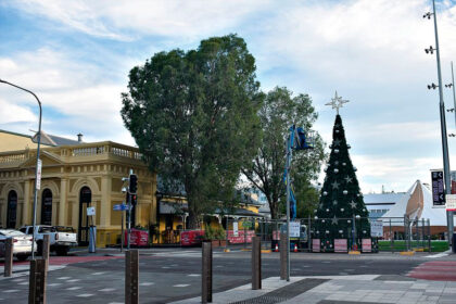 TREE PLEA: The future of two iconic paperbark trees is concerning the Ipswich Climate Action Group.