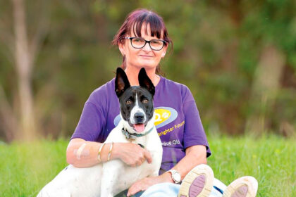 CHOOSE WISELY: The animal’s welfare should be your top priority.